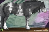 Horse Color:White Spotted Black 