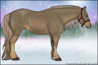 Horse Color:Chocolate Palomino 