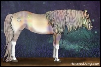 Horse Color:Nacre Silver Brown Onyx 