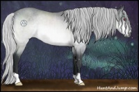 Horse Color:Silver Brown Chinchilla Rabicano