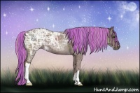 Horse Color:Painted Chocolate Silver Black Ice