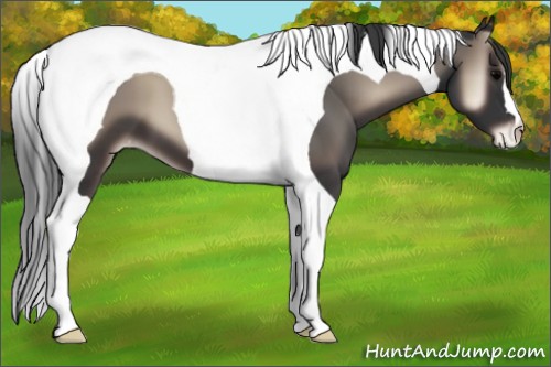 Horse Color:Blue Onyx Tobiano Varnish 
