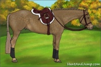 Horse Color:Chocolate Palomino 