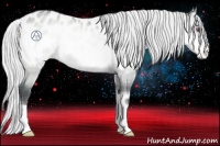 Horse Color:Silver Buckskin Chinchilla Roan Onyx Appaloosa 
