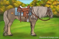 Horse Color:Unknown 
