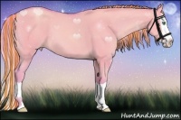 Horse Color:Painted Watercolor Gold Cream Champagne Dun Splash