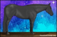 Horse Color:Smoky Black 