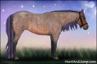 Horse Color:Painted Bay Roan