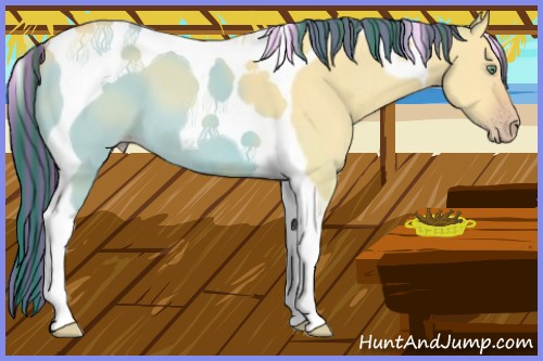 Horse Color:Painted Amber Cream Champagne Dun Tobiano 