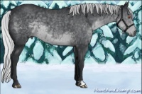 Horse Color:Silver Black Chinchilla 