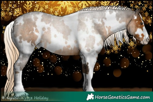 Horse Color:White Spotted Chocolate Palomino 
