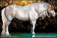 Horse Color:White Spotted Chocolate Palomino