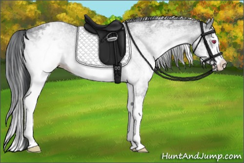 Horse Color:White Spotted Brown Chinchilla Splash 