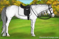 Horse Color:White Spotted Brown Chinchilla Splash
