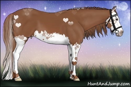 Horse Color:Chestnut Splash