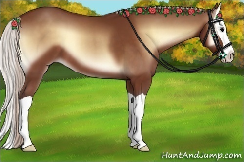 Horse Color:Silver Bay Onyx Splash