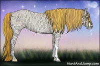 Horse Color:Painted Buckskin Ice Roan Pearl Onyx