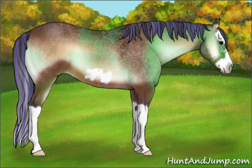 Horse Color:Painted Bay Onyx Splash Frame 