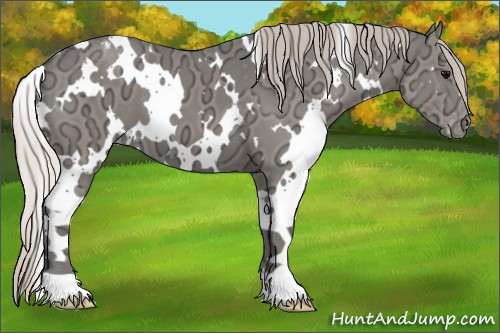 Horse Color:White Spotted Silver Black Ice Varnish