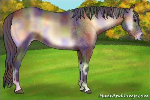 Horse Color:Nacre Brown Onyx 