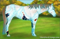 Horse Color:Thunderstruck White Spotted Chestnut Ice Sabino Rabicano 