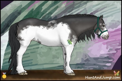 Horse Color:White Spotted Black Frame 