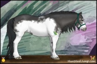 Horse Color:White Spotted Black Frame 