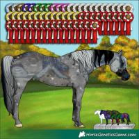 Horse Color:ERROR: UNKNOWN ANOMALY