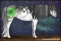 Horse Color:Gray Black Sabino 