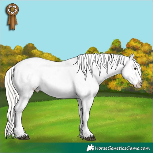 Horse Color:White Spotted Silver Blue Onyx Appaloosa 