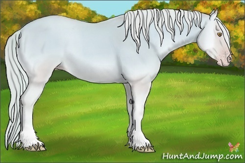 Horse Color:Watercolor Gold Cream Champagne Onyx