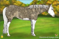 Horse Color:Watercolor Silver Bay Ice Dun Splash