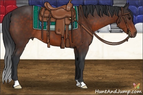 Horse Color:Brown 