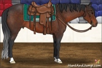 Horse Color:Brown 