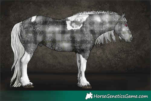 Horse Color:Plaid  Silver Brown Chinchilla Ice Tobiano 