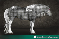 Horse Color:Plaid Silver Brown Chinchilla Ice Tobiano