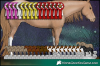 Horse Color:Black Pearl Tobiano