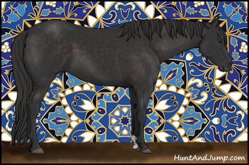 Horse Color:Liver Chestnut Sabino