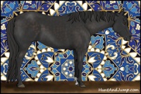 Horse Color:Liver Chestnut Sabino 