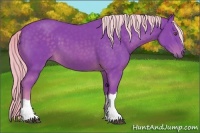 Horse Color:Watercolor Chocolate Palomino 