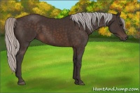 Horse Color:Silver Brown 