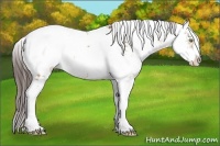 Horse Color:Sable Champagne Sabino Blanket 