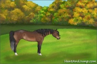 Horse Color:Brown 