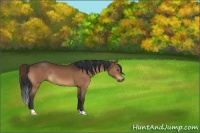 Horse Color:Brown 