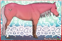 Horse Color:Silver Buckskin Dun 