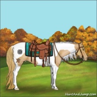 Horse Color:Chestnut Pearl Tobiano Rabicano 