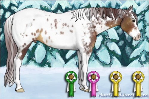 Horse Color:Chocolate Brown Splash Tobiano Appaloosa Rabicano 
