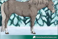 Horse Color:Silver Black Ice Splash