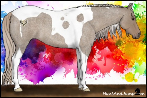 Horse Color:Silver Grullo Roan Tobiano