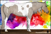 Horse Color:Silver Grullo Roan Tobiano 